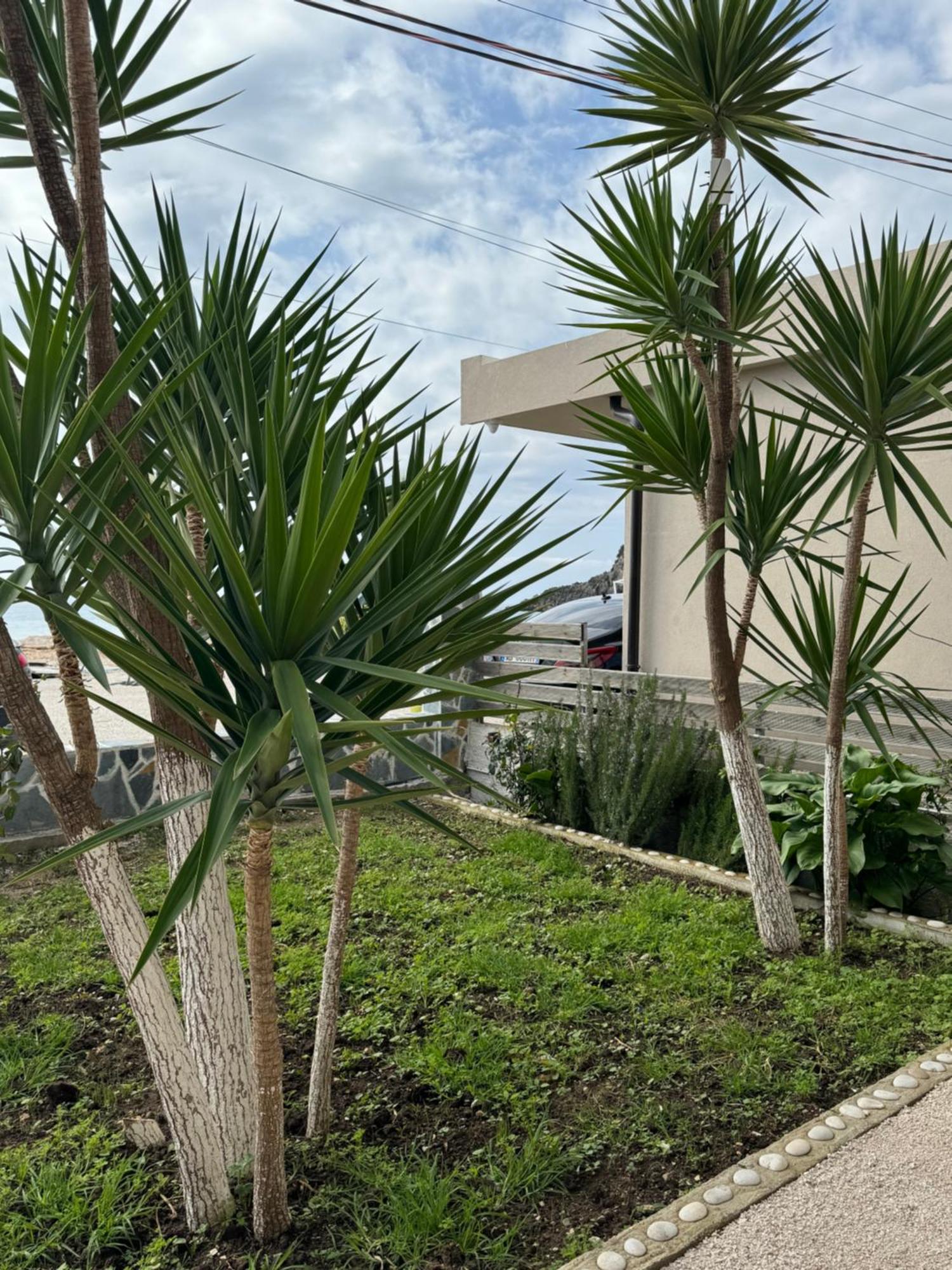 הימארה Ionian View B&B חדר תמונה